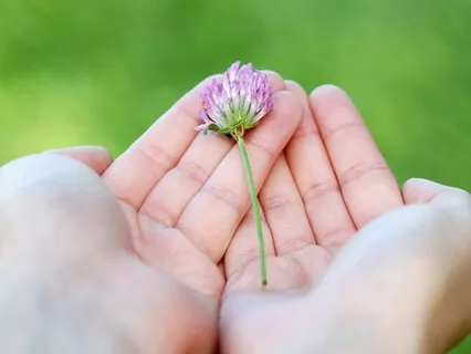 Generosity And Gratefulness Practice