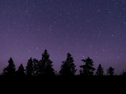 Genie And The Path Of Inner Discovery: Bedtime Tale