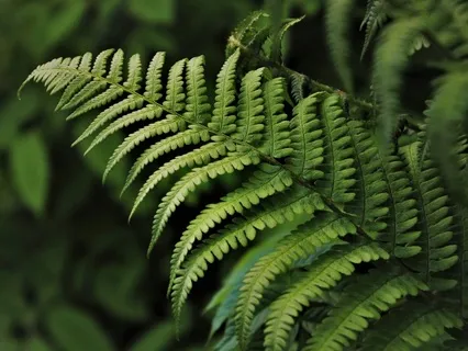 Gentle Bedtime Talk: Cultivate Your Inner Connection