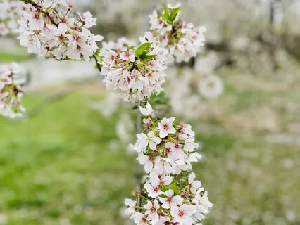 Gentle Acceptance For Anxiety 