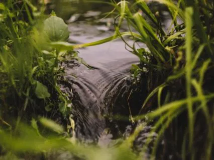 Gentle Ambient Music and Nature Sounds For Rest and Sleep