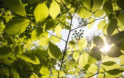 Gentle Anxiety Instrumentals with 432 Hz