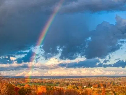 Gentle Anxiety Support