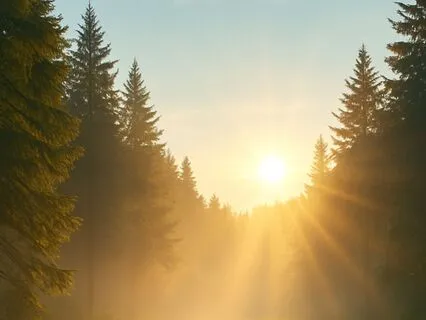 Gentle Awakening – Heart 2.6Hz