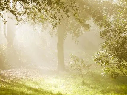 Gentle Awakening (Morning Meditation)