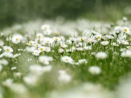 Gentle Bedtime Talk: Nurturing Comfort On Your Grief Journey