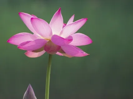 Gentle Bedtime Reminder: You Matter