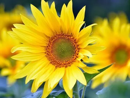 Gentle Bedtime Talk: A Break From The Rush Of Daily Life