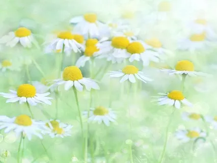 Gentle Bedtime Talk: A Journey Into Your Soul
