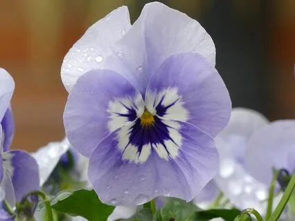 Gentle Bedtime Talk: A Journey Towards Self-Love