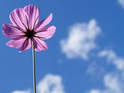 Gentle Bedtime Talk: A Moment Of Self-Reflection