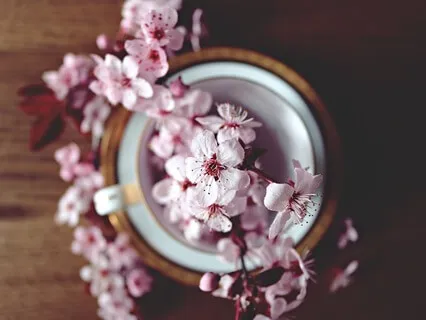 Gentle Bedtime Talk: A Path To Self-Love