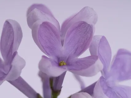 Gentle Bedtime Talk: A Reminder How Special You Are