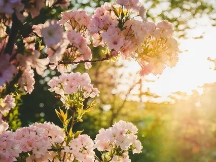 Gentle Bedtime Talk: A Reminder Of Your Inherent Worth