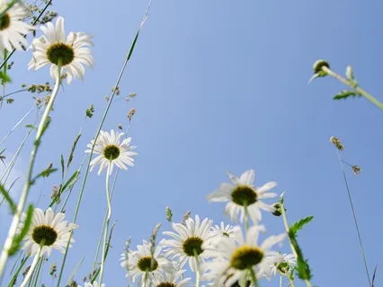 Gentle Bedtime Talk: A Sacred Pause For Self-Care