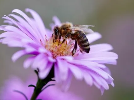 Gentle Bedtime Talk: A Sacred Space Of Introspection