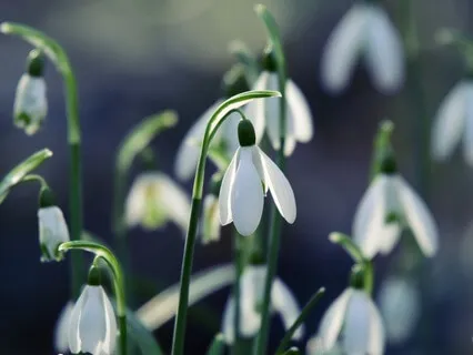 Gentle Bedtime Talk: A Sanctuary Of Peace