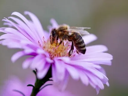 Gentle Bedtime Talk: A Space Of Comfort When Facing Chaos