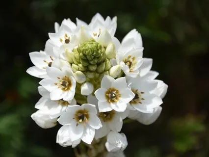 Gentle Bedtime Talk: Aligned With Your True Essence