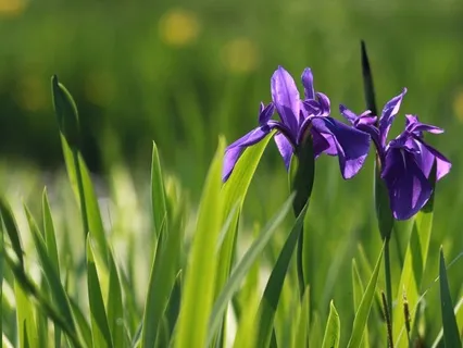 Gentle Bedtime Talk: Allow Yourself To Let Go Of Worries