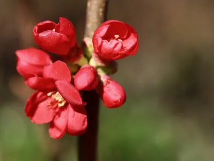 Gentle Bedtime Talk: Awakening Your Inner Light