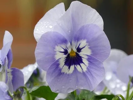 Gentle Bedtime Talk: Bask In Your Inner Radiance