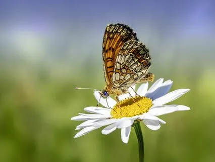 Gentle Bedtime Talk: Be Guided Home To Your Heart