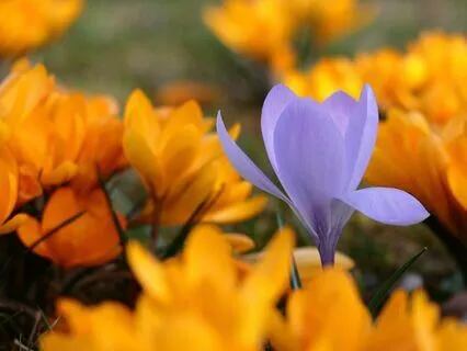 Gentle Bedtime Talk: Bedtime Preparations