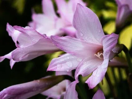 Gentle Bedtime Talk: Beloved Child From The Universe