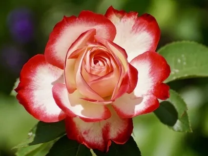 Gentle Bedtime Talk: Beyond The Mind's Veil