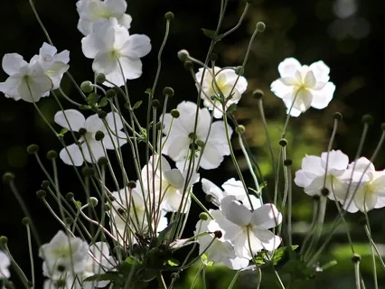 Gentle Bedtime Talk: Breathe In Peace, Breathe Out Chaos