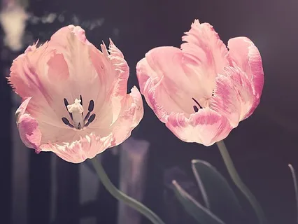 Gentle Bedtime Talk: Bring Tranquility To Your Restless Mind