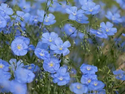 Gentle Bedtime Talk: Come Home To Yourself