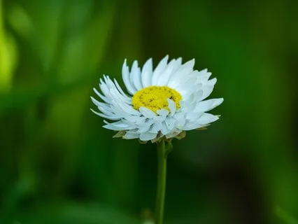 Gentle Bedtime Talk: Comfort In Times Of Overwhelm