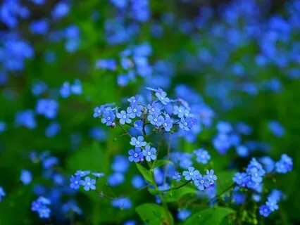 Gentle Bedtime Talk: Comfort On Your Grief Journey