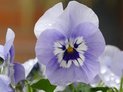 Gentle Bedtime Talk: Connect With Your Inner Best Friend