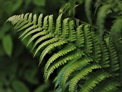 Gentle Bedtime Talk: Cultivating Trust Within Yourself