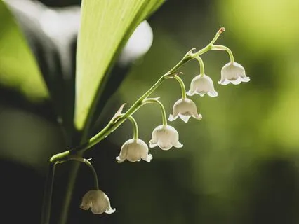 Gentle Bedtime Talk: Delve Into The Essence Of Your Being