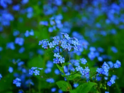 Gentle Bedtime Talk: Embrace Fear As A Guide