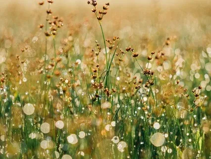 Gentle Bedtime Talk: Embrace Peace, Release Chaos