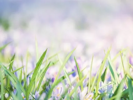 Gentle Bedtime Talk: Embrace Self-Love