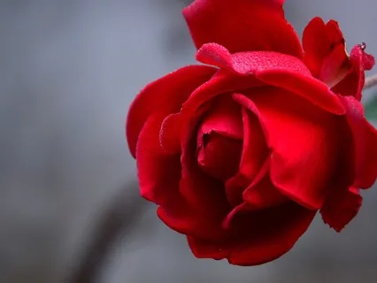 Gentle Bedtime Talk: Embrace The Soul's Wisdom