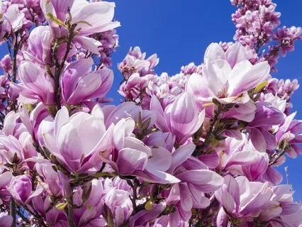 Gentle Bedtime Talk: Embrace Your Blessings