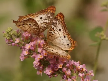 Gentle Bedtime Talk: Embrace Your Inner Child
