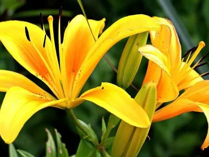 Gentle Bedtime Talk: Embrace Yourself In Cosmic Love