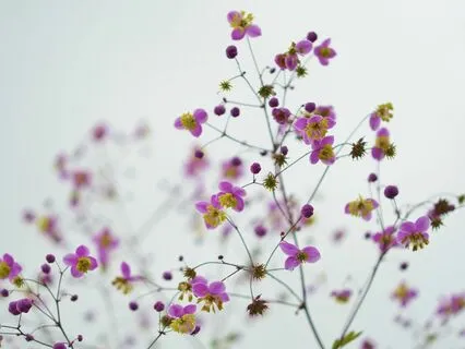 Gentle Bedtime Talk: Embraced In Safety