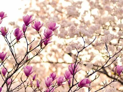 Gentle Bedtime Talk: Embracing Life's Blessings