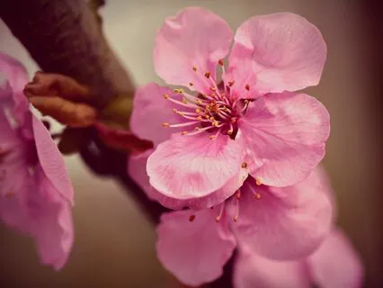 Gentle Bedtime Talk: Embracing Your Cosmic Connection