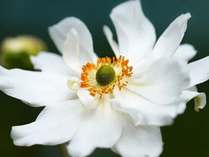 Gentle Bedtime Talk: Embracing Your Inherent Value