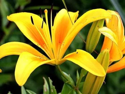 Gentle Bedtime Talk: Embracing Your Inherent Worth